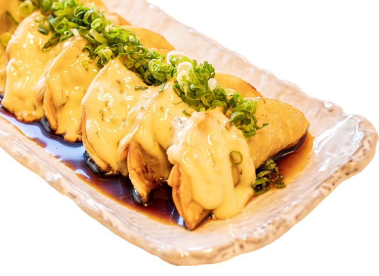 Beef Gyoza Namban