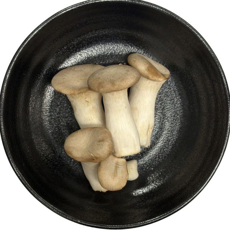 Oyster Mushroom (Eringi)