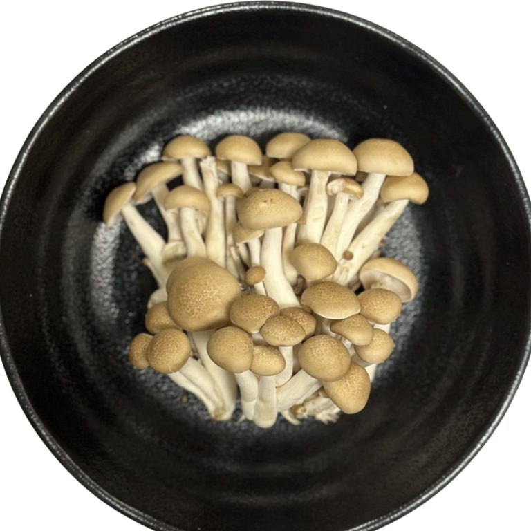 Shimeji